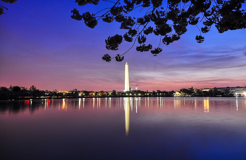 The iconic Washington Monument is photographed under a purple early morning sky.