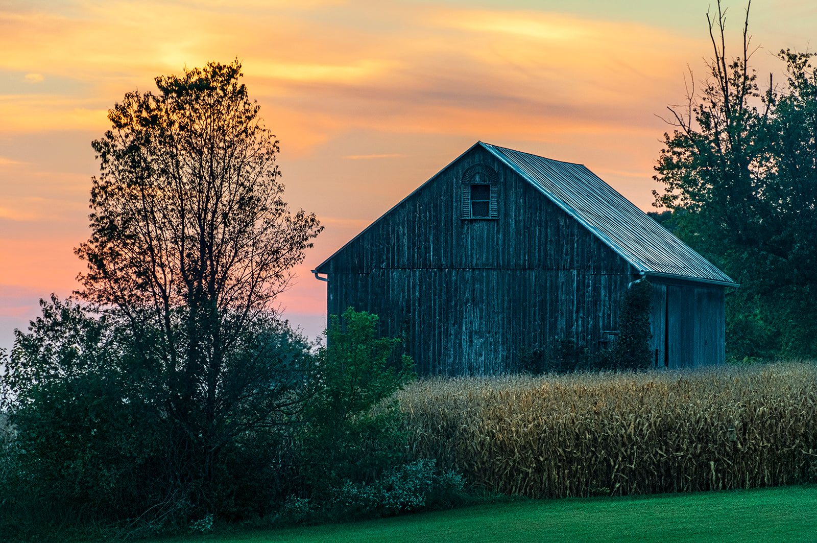 A Barn at Dawn