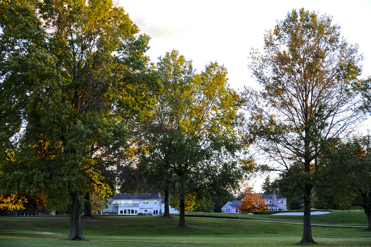  residential area of suburbia