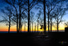 A sunrise photograph created along the shores of the Chesapeake Bay in Anne Arundel County.