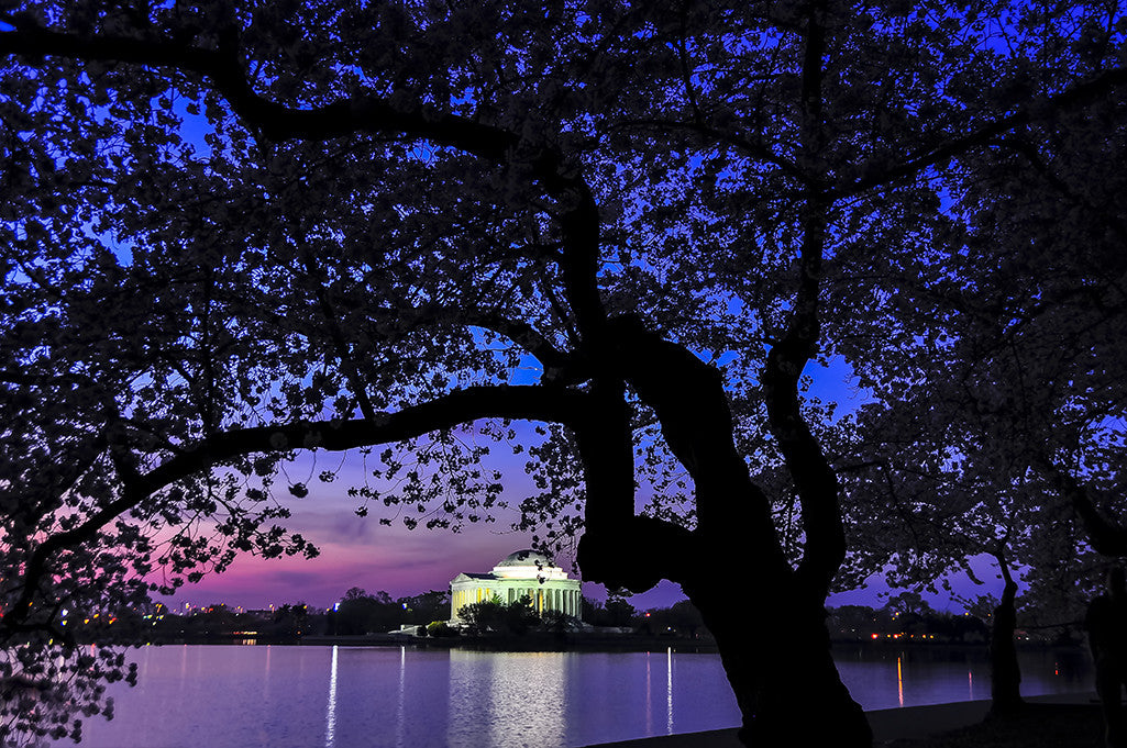 The Jefferson Memorial as seen across the tidal basin at dawn.