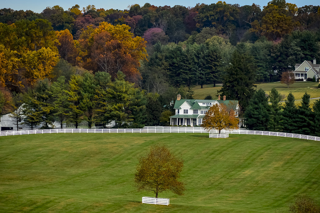 The fall transition of color has begun in this photograph taken in Baltimore County Maryland.