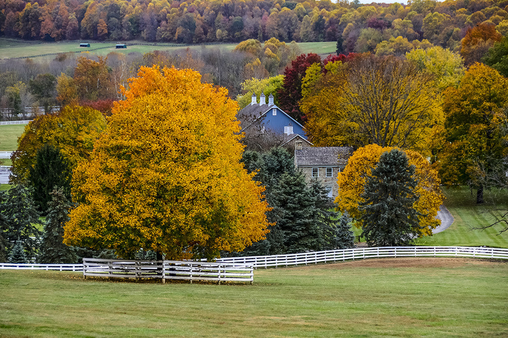 Fall colors on a farm in Baltimore County, Maryland.