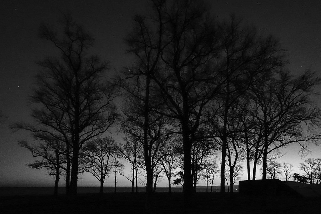 First Light in Black and White