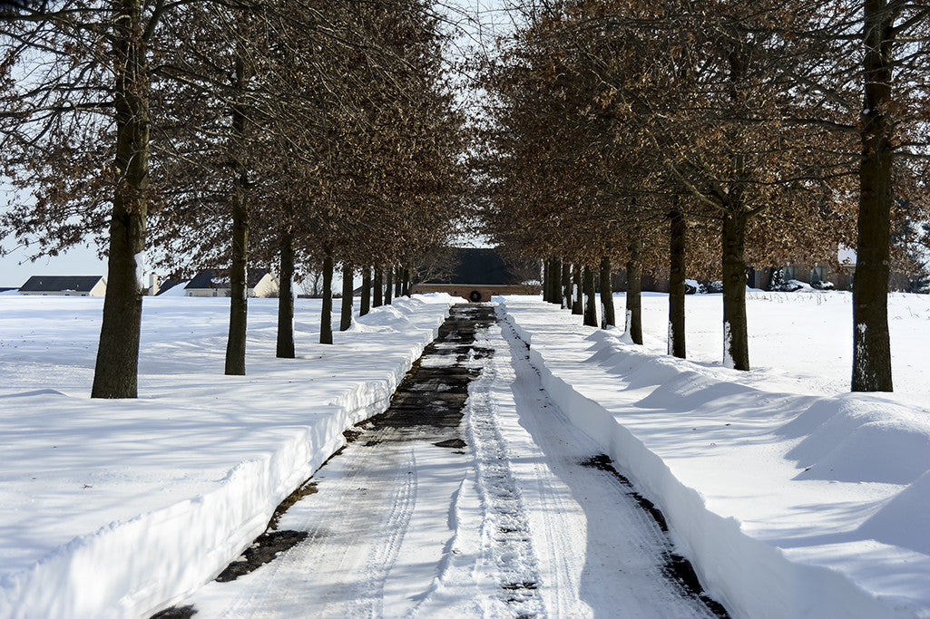 A snow-covered, tree-lined driveway leads to private property.
